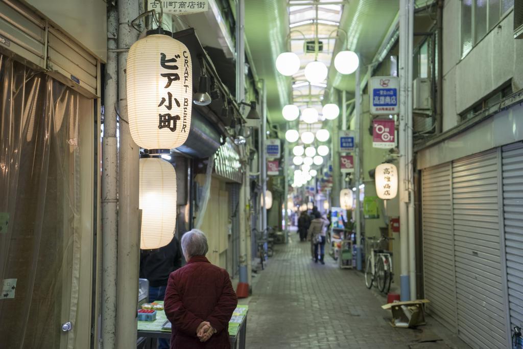 Azzurro Elefante Villa Kyoto Bagian luar foto